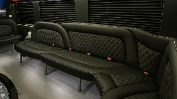 allentown 14 passenger sprinter limousine rental