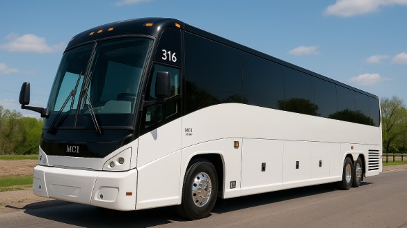 edison bachelor and bachelorette party bus rentals